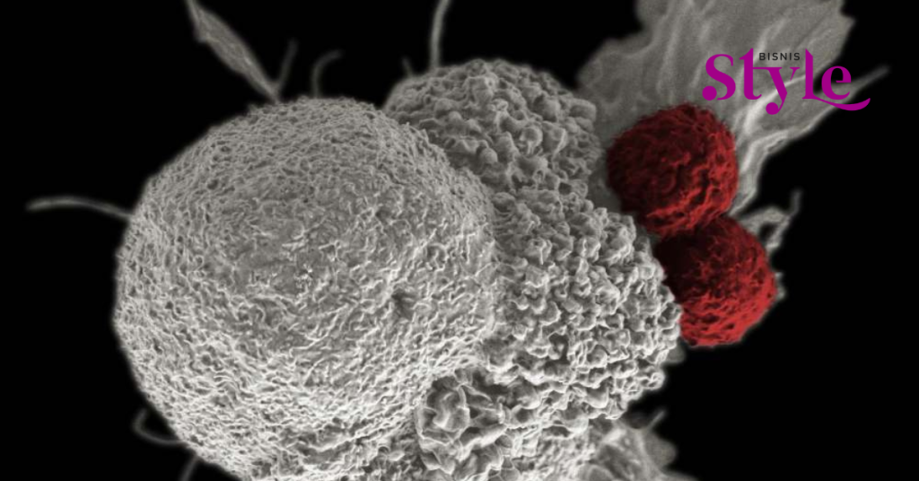 Is It True That Putting Your Phone on Your Chest Can Cause Breast Cancer? Know the Symptoms