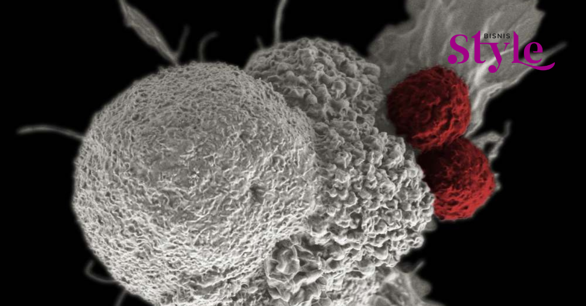 Is It True That Putting Your Phone on Your Chest Can Cause Breast Cancer? Know the Symptoms